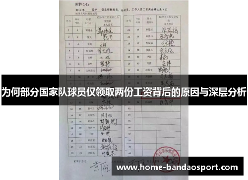 为何部分国家队球员仅领取两份工资背后的原因与深层分析
