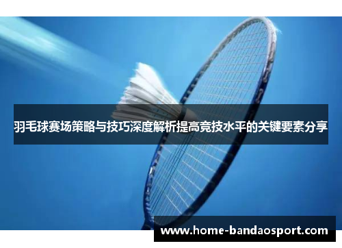羽毛球赛场策略与技巧深度解析提高竞技水平的关键要素分享