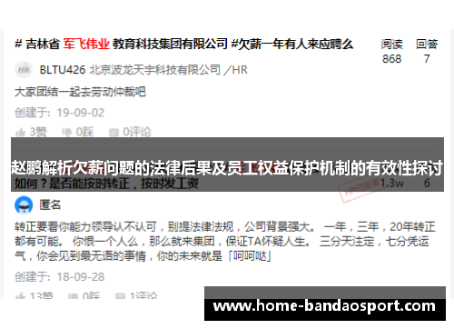 赵鹏解析欠薪问题的法律后果及员工权益保护机制的有效性探讨