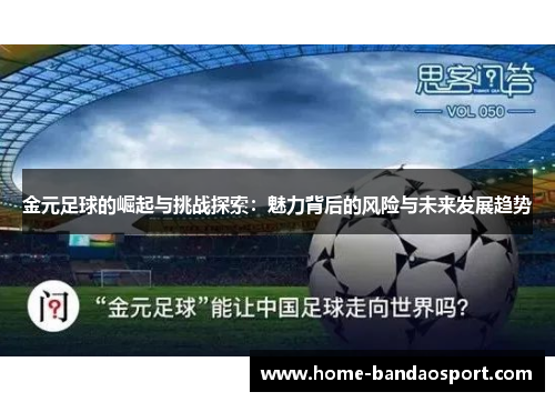 金元足球的崛起与挑战探索：魅力背后的风险与未来发展趋势