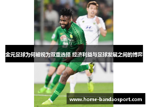 金元足球为何被视为双重选择 经济利益与足球发展之间的博弈