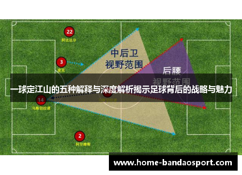 一球定江山的五种解释与深度解析揭示足球背后的战略与魅力