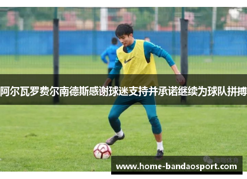阿尔瓦罗费尔南德斯感谢球迷支持并承诺继续为球队拼搏
