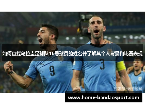如何查找乌拉圭足球队16号球员的姓名并了解其个人背景和比赛表现