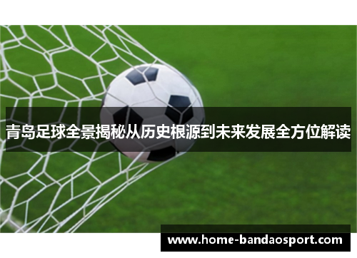 青岛足球全景揭秘从历史根源到未来发展全方位解读