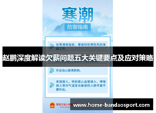 赵鹏深度解读欠薪问题五大关键要点及应对策略