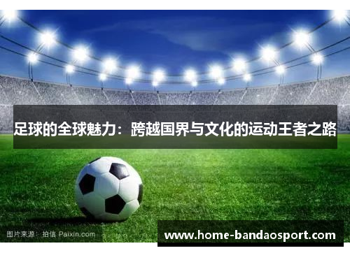 足球的全球魅力：跨越国界与文化的运动王者之路