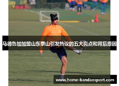 马德鲁加加盟山东泰山引发热议的五大亮点和背后原因