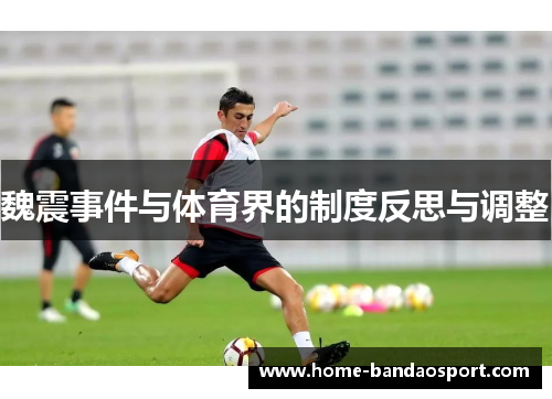魏震事件与体育界的制度反思与调整