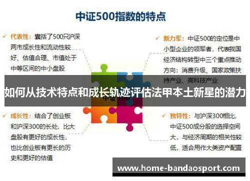 如何从技术特点和成长轨迹评估法甲本土新星的潜力